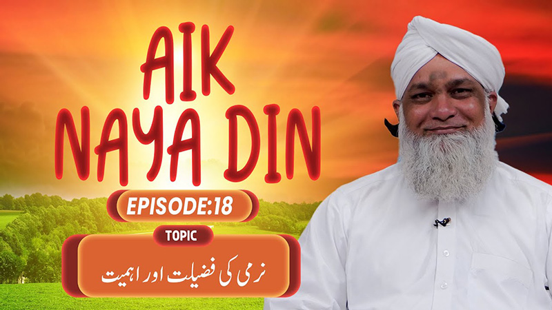 Aik Naya Din Ep 18